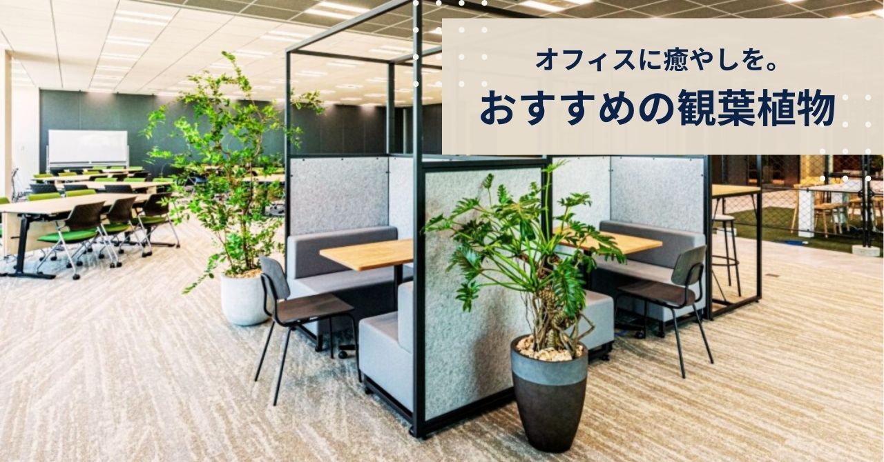オフィスに観葉植物を置くメリットとおすすめ6選