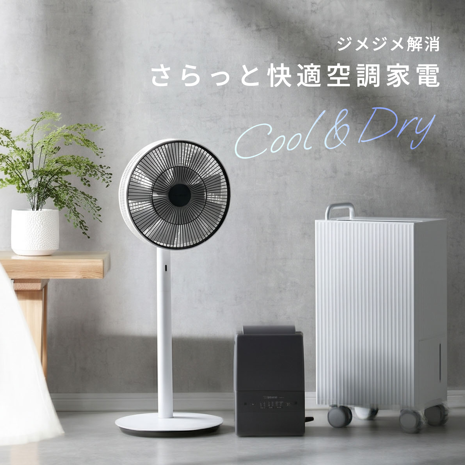 湿気も暑さも さらっと解消 空調家電