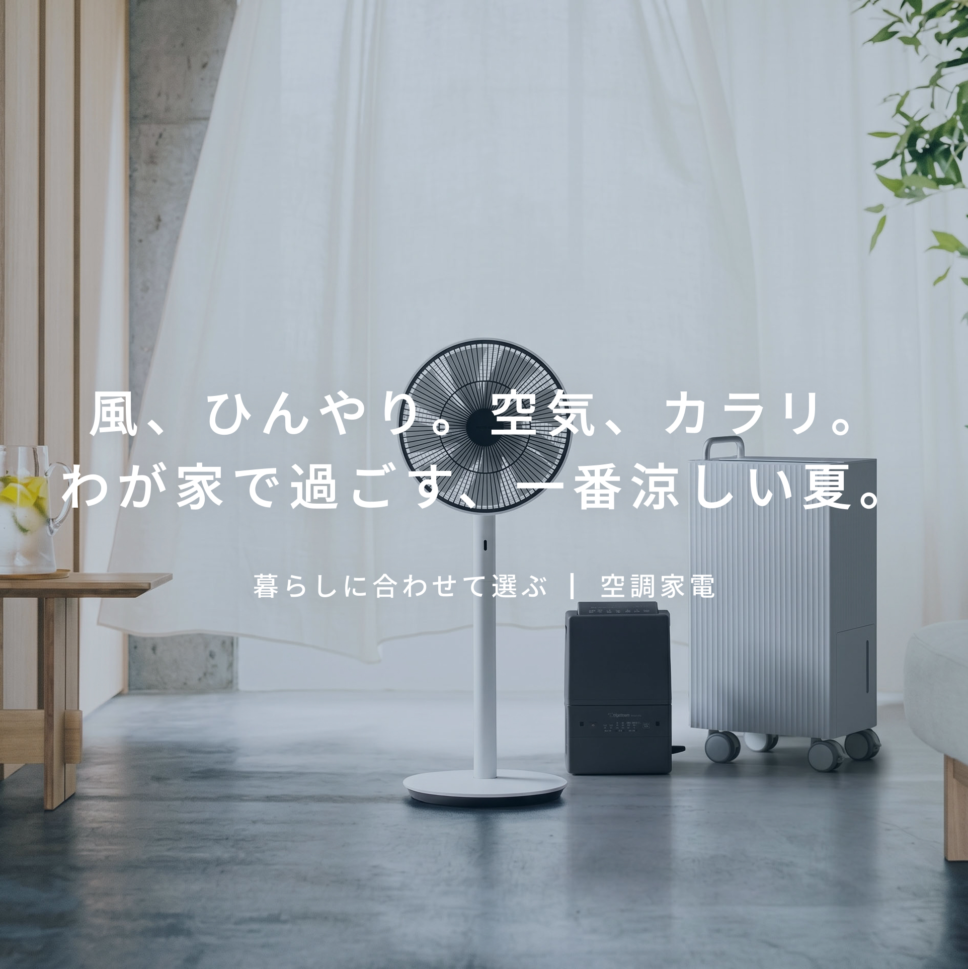 湿気も暑さも さらっと解消 空調家電