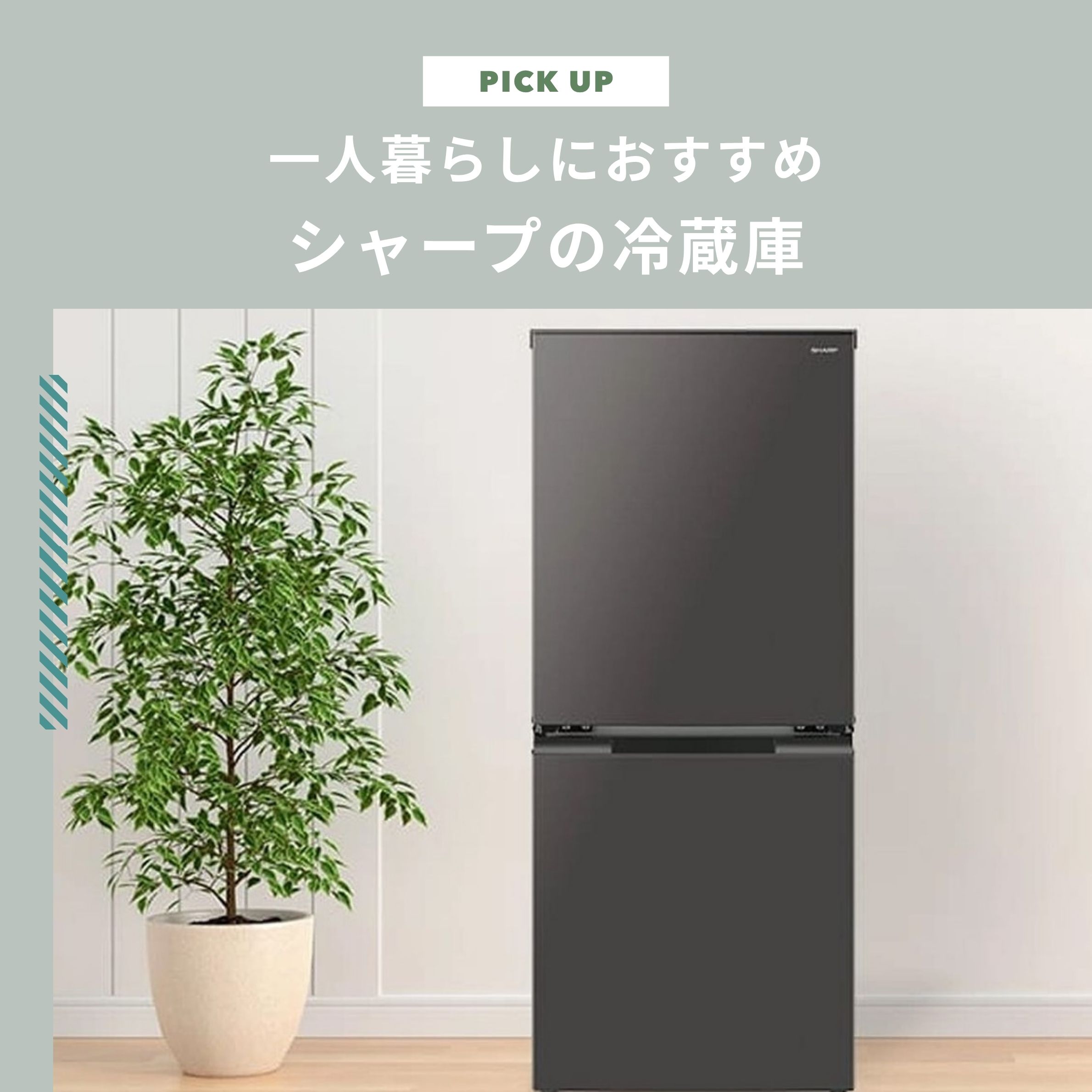 シャープの冷蔵庫が一人暮らしにおすすめな理由＆人気モデル6選｜負担なく家電を揃える方法もご紹介します