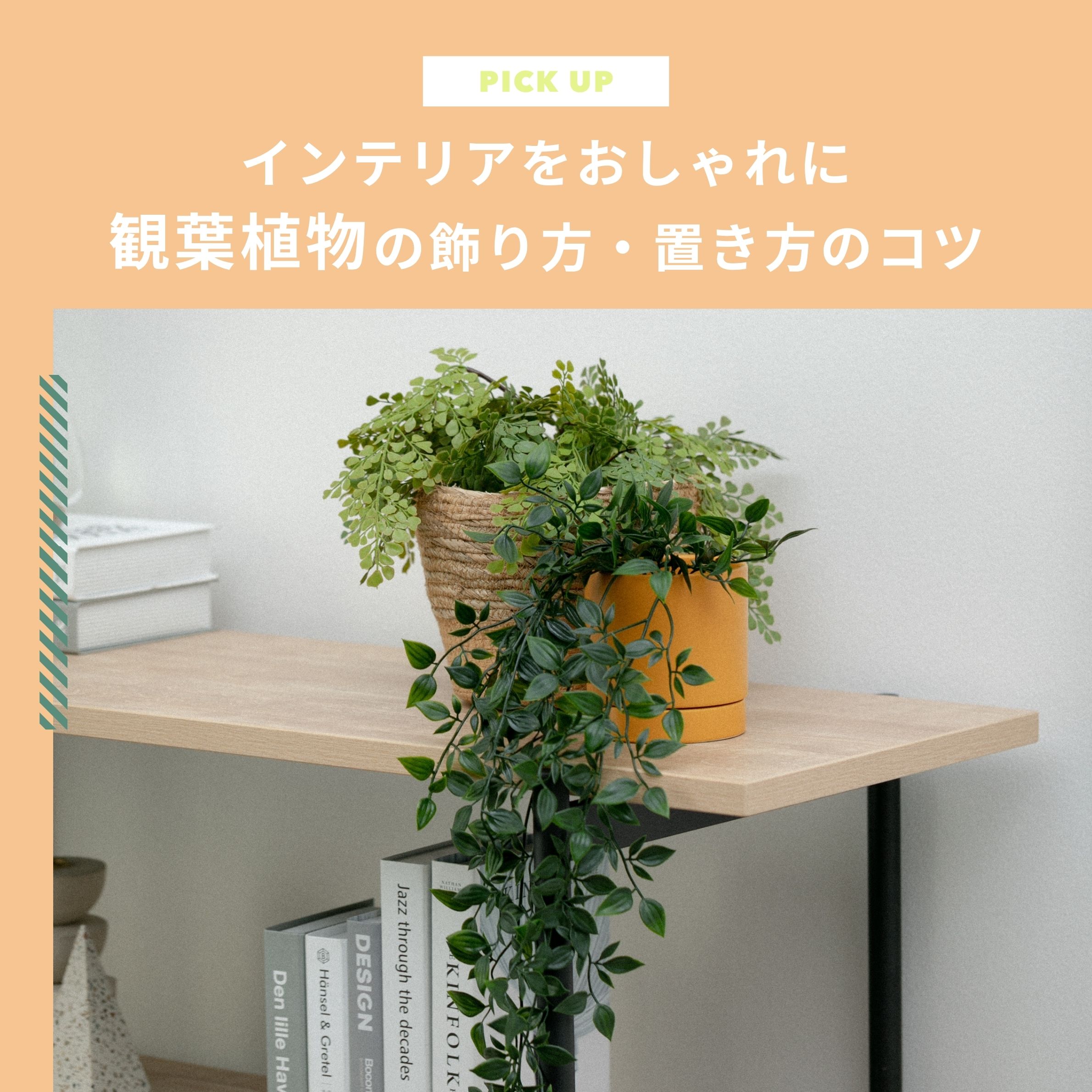 観葉植物でインテリアをおしゃれに！室内での飾り方や置き方のコツ