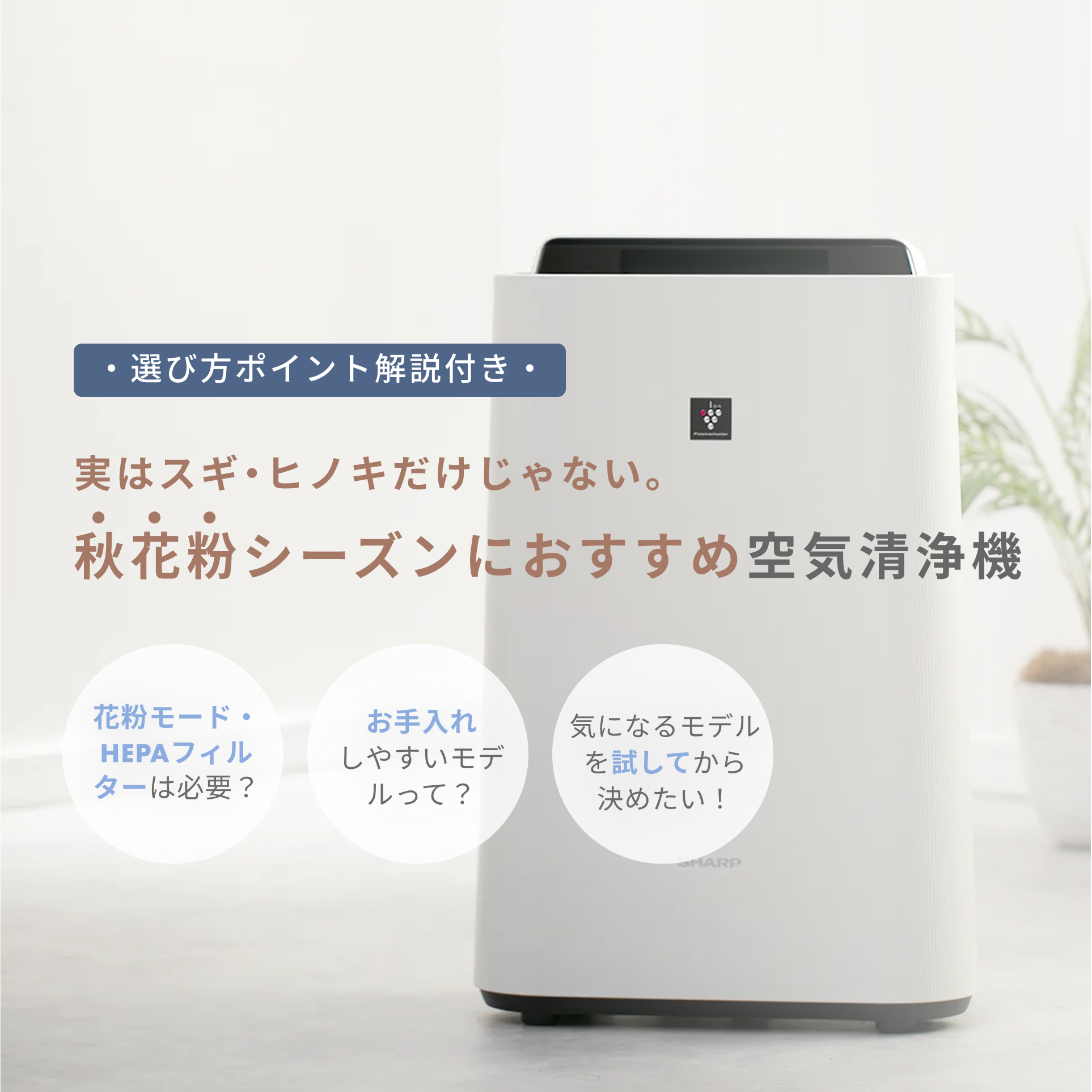 秋花粉特集