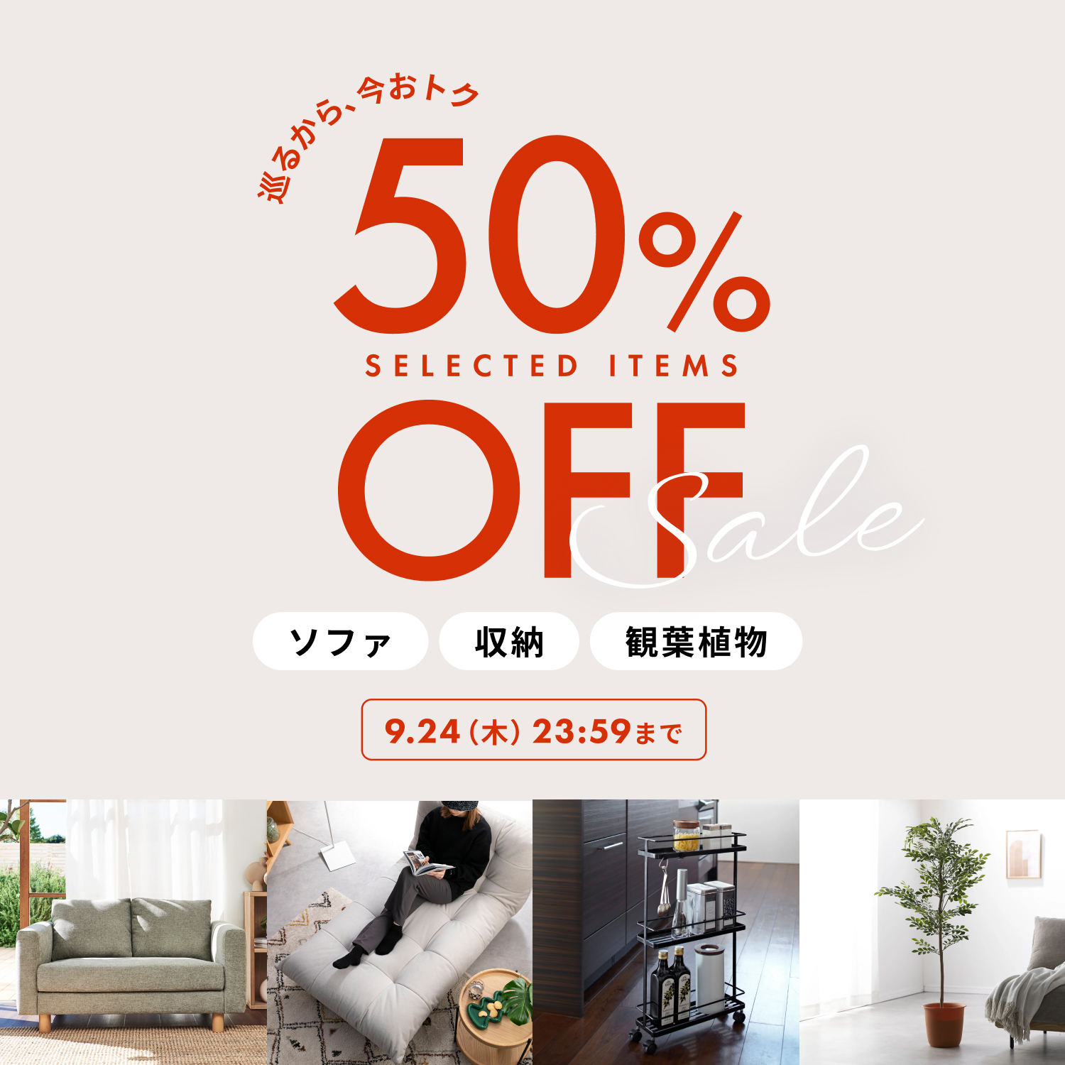 人気商品月額50%OFFセール
