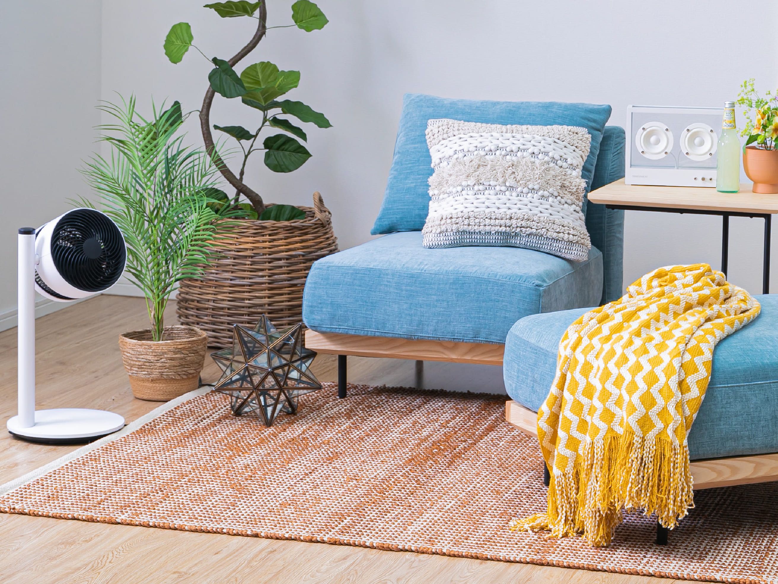 画像_19
