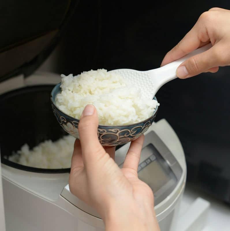 炊飯器は買い替えよりレンタルなら試せてお得