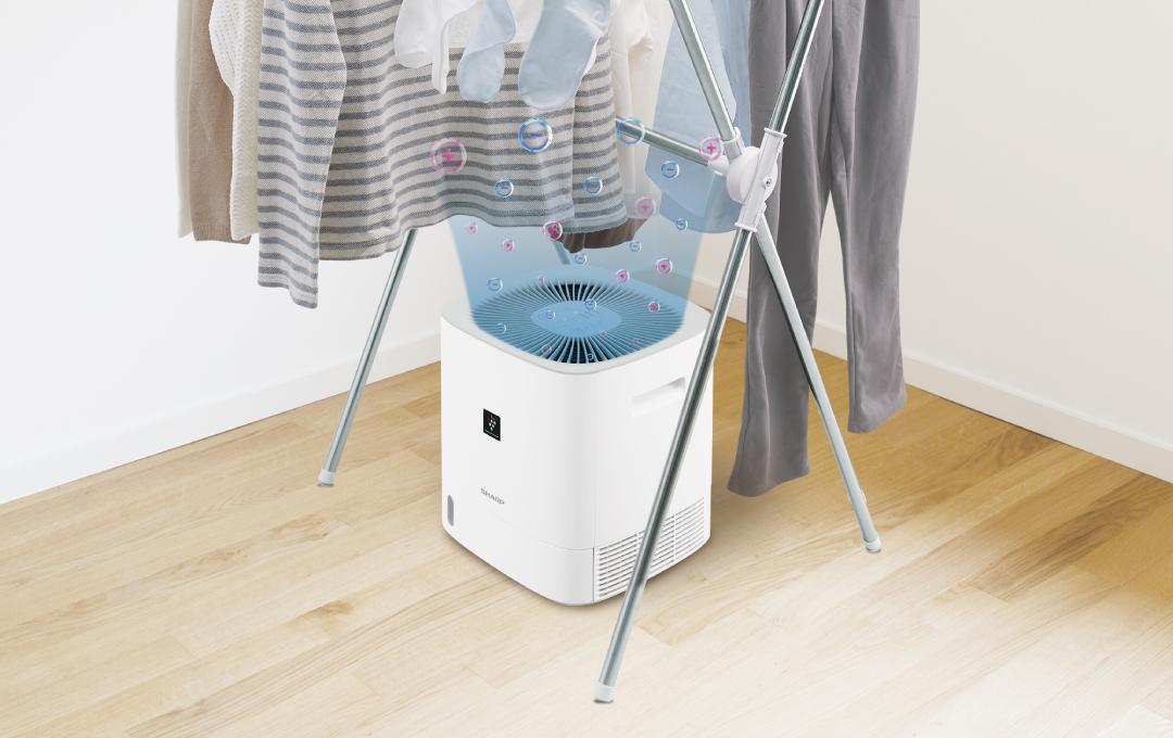 2021年製　SHARP プラズマクラスター　除湿機　衣類乾燥機　衣類消臭 SHARP プラズマクラスター デシカント式衣類乾燥機 W30×D30×H32.3cm