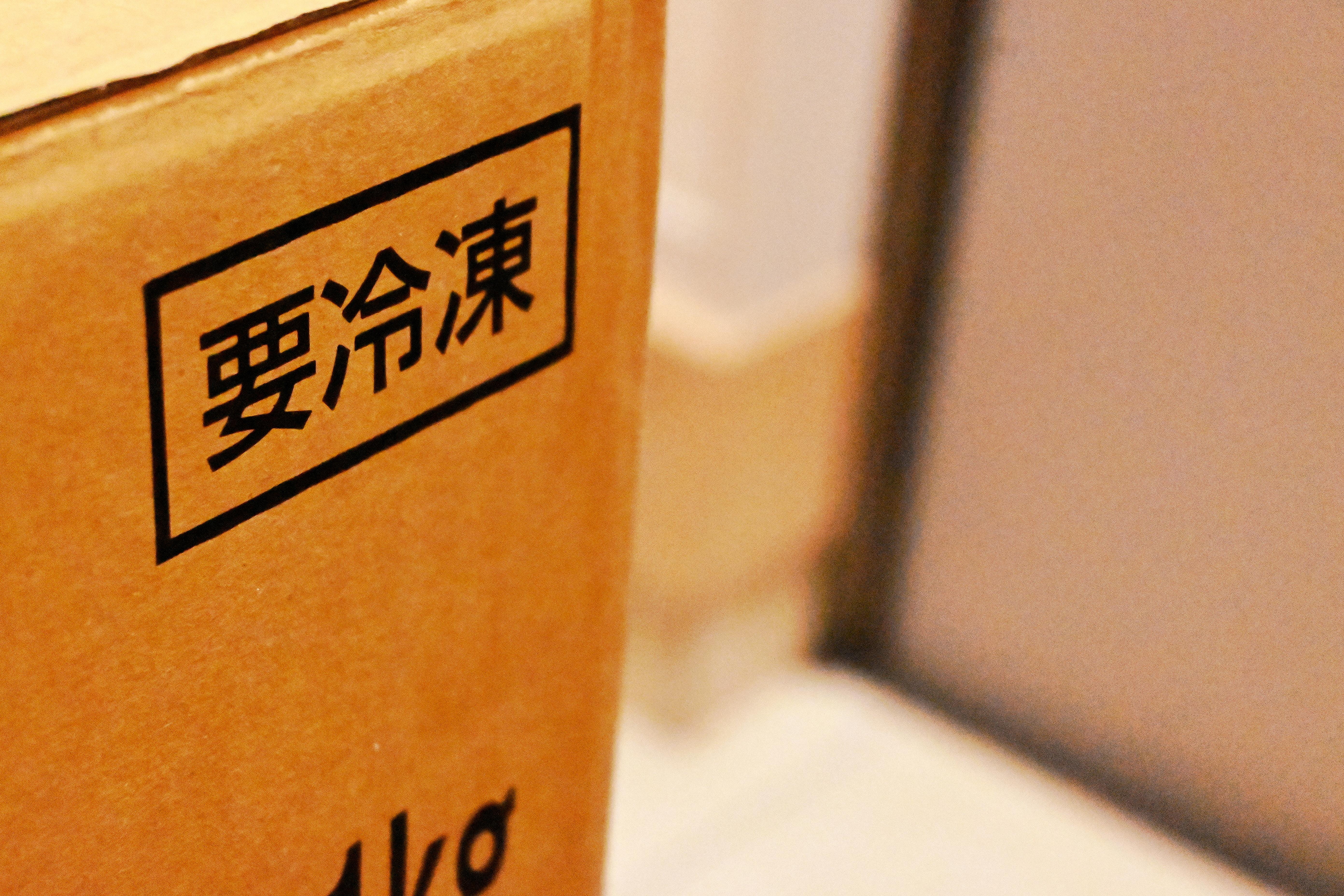 引っ越しの際の冷蔵庫の中身は クーラーボックスを使って運ぶ
