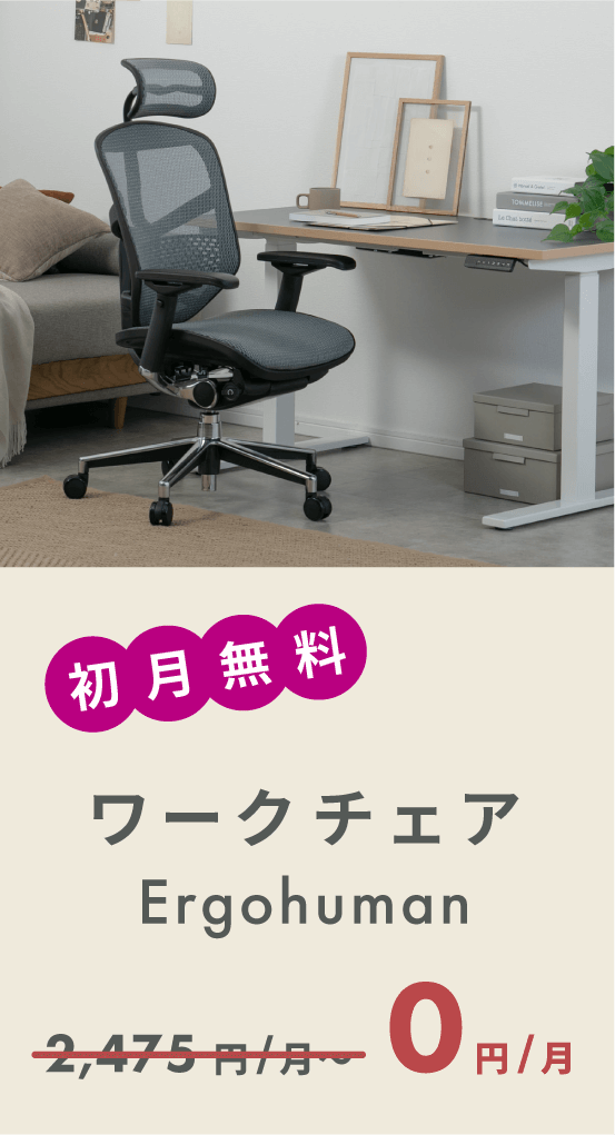 Ergohuman ENJOY チェア