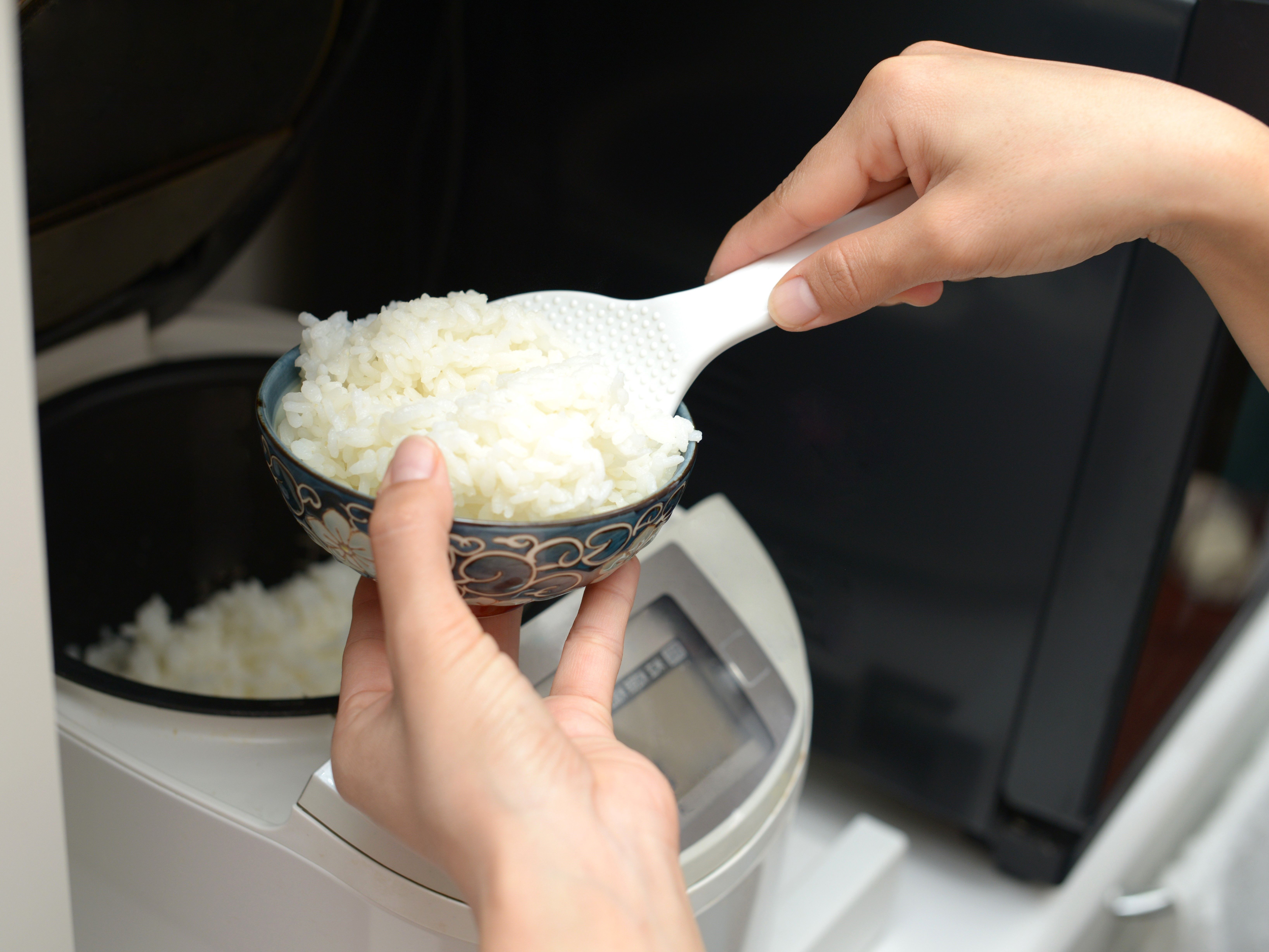 炊飯器一人暮らしのおすすめ