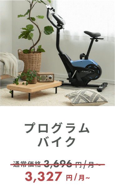 プログラムバイク6119