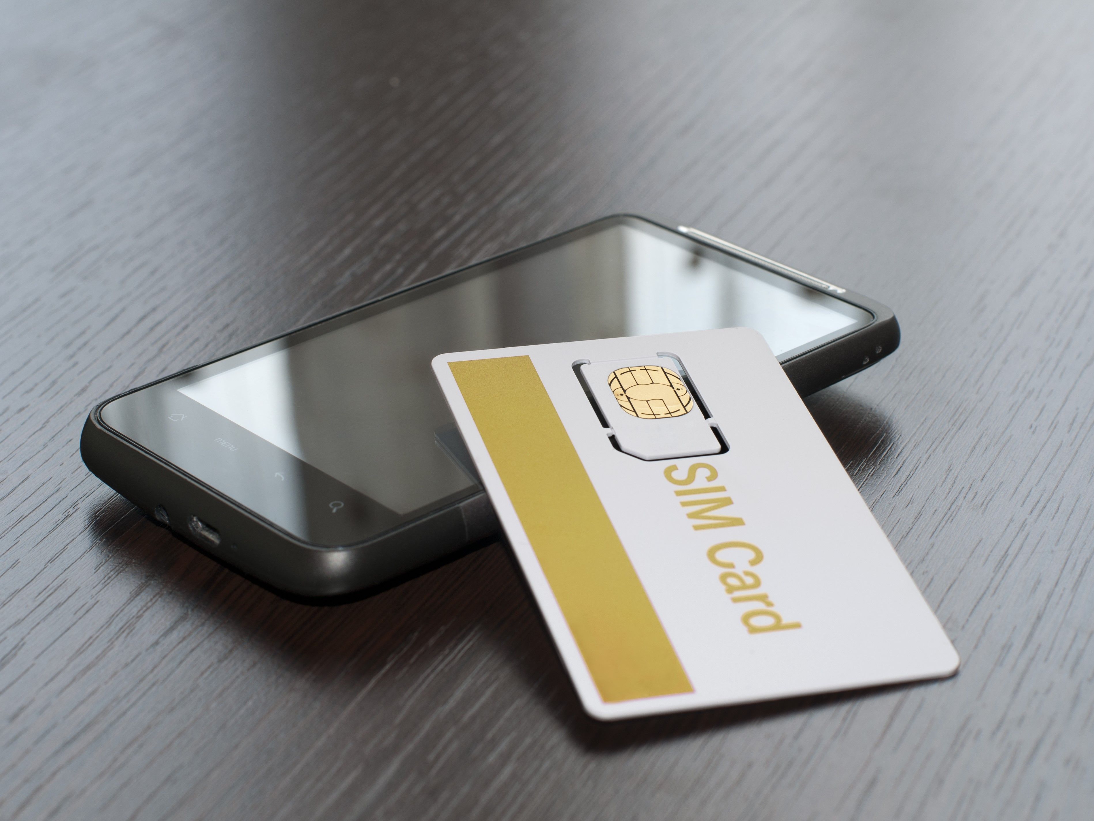 スマホレンタルの種類SIM