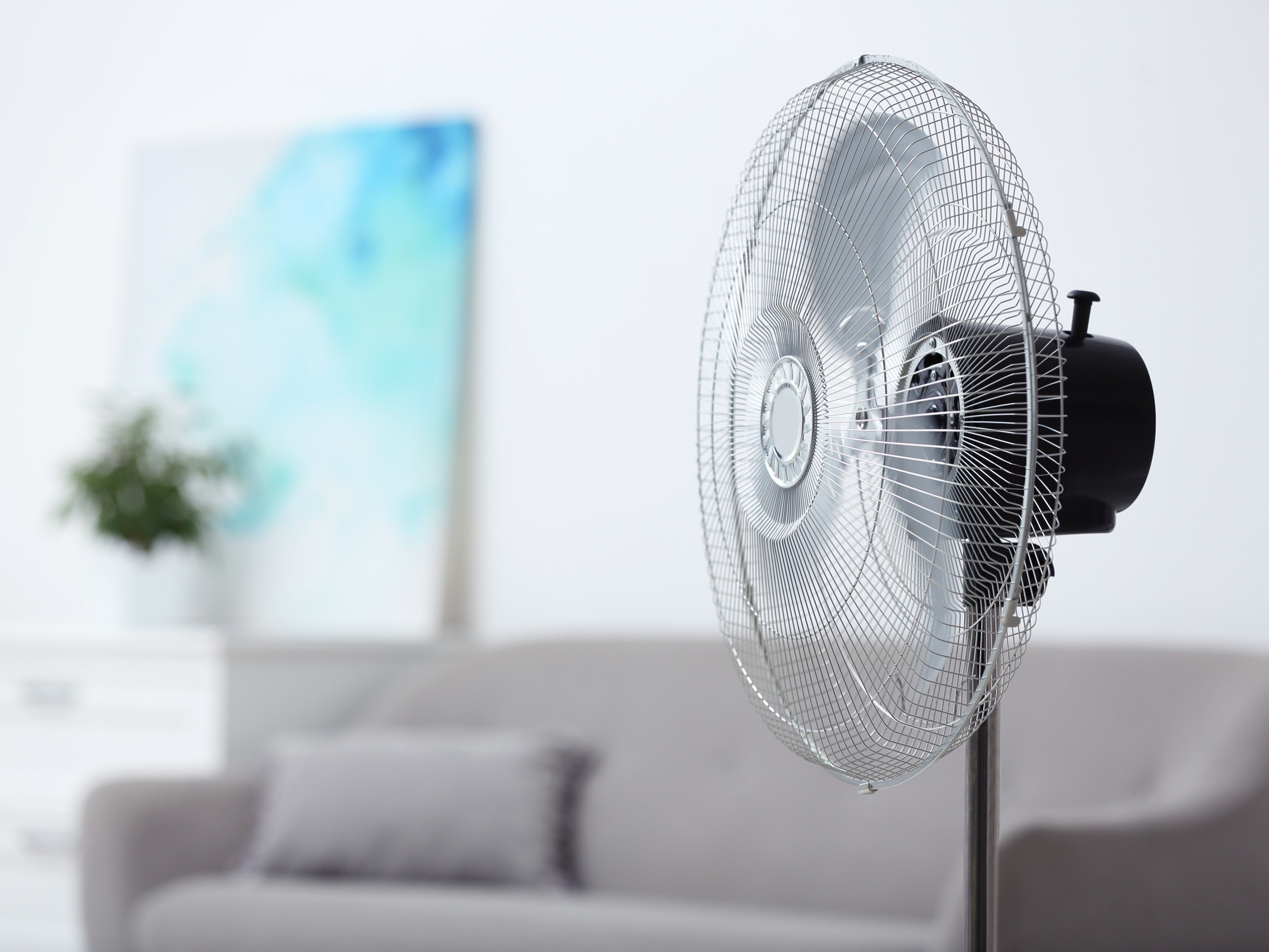 家電のレンタル・サブスクならおすすめの扇風機が見つかる