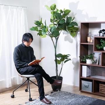 ウンベラータ180cm(フェイクグリーン)