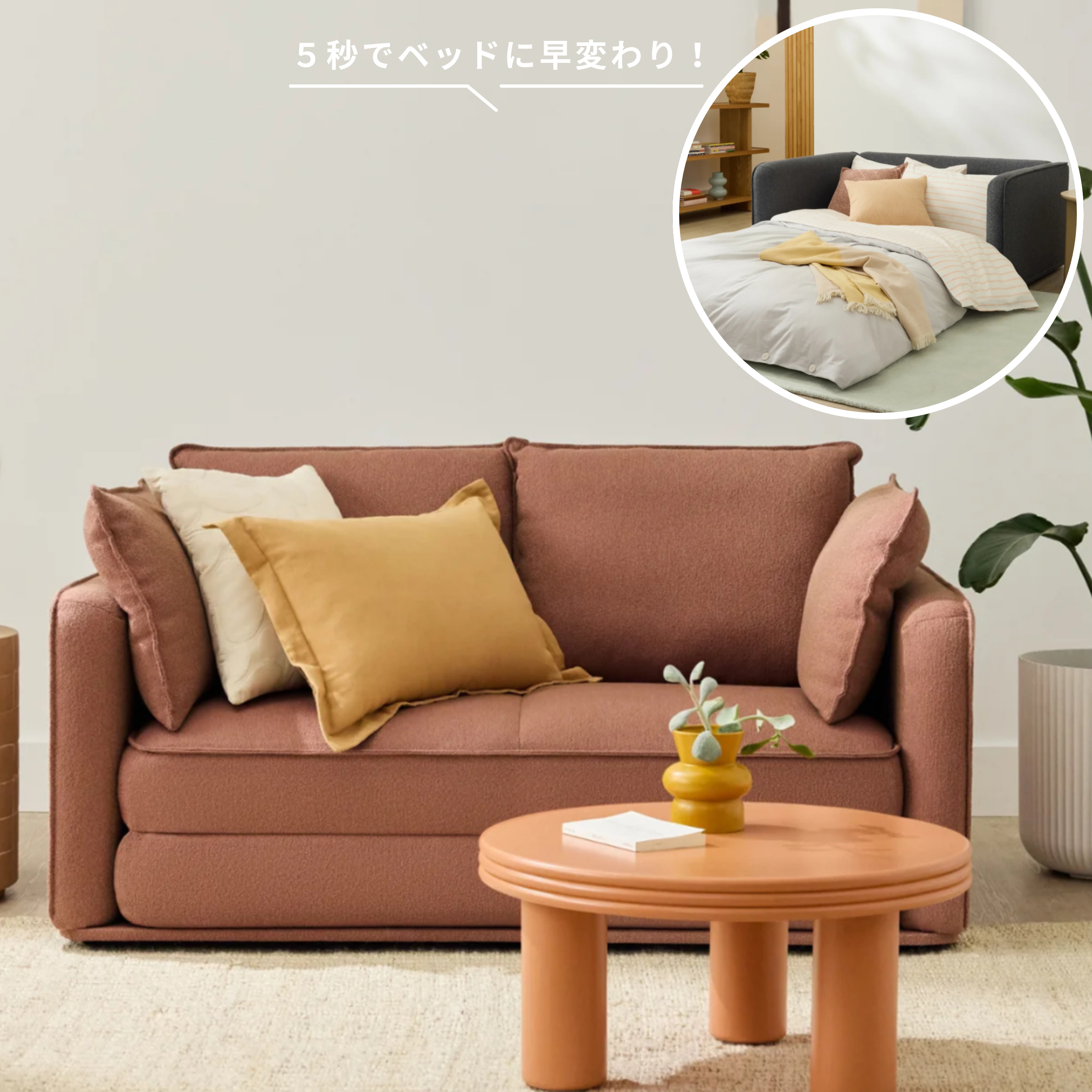 Koala CUSHY ソファーベッド
