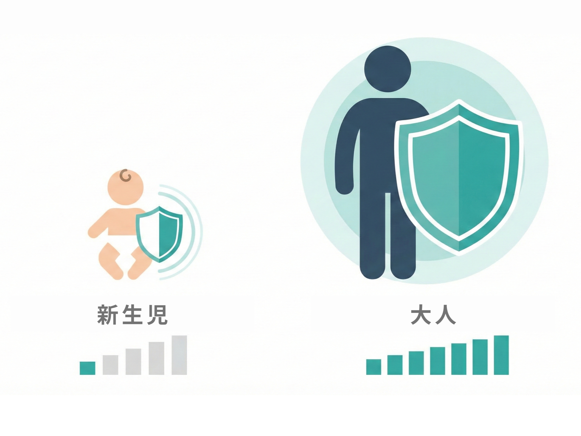 新生児の免疫力は大人の半分以下