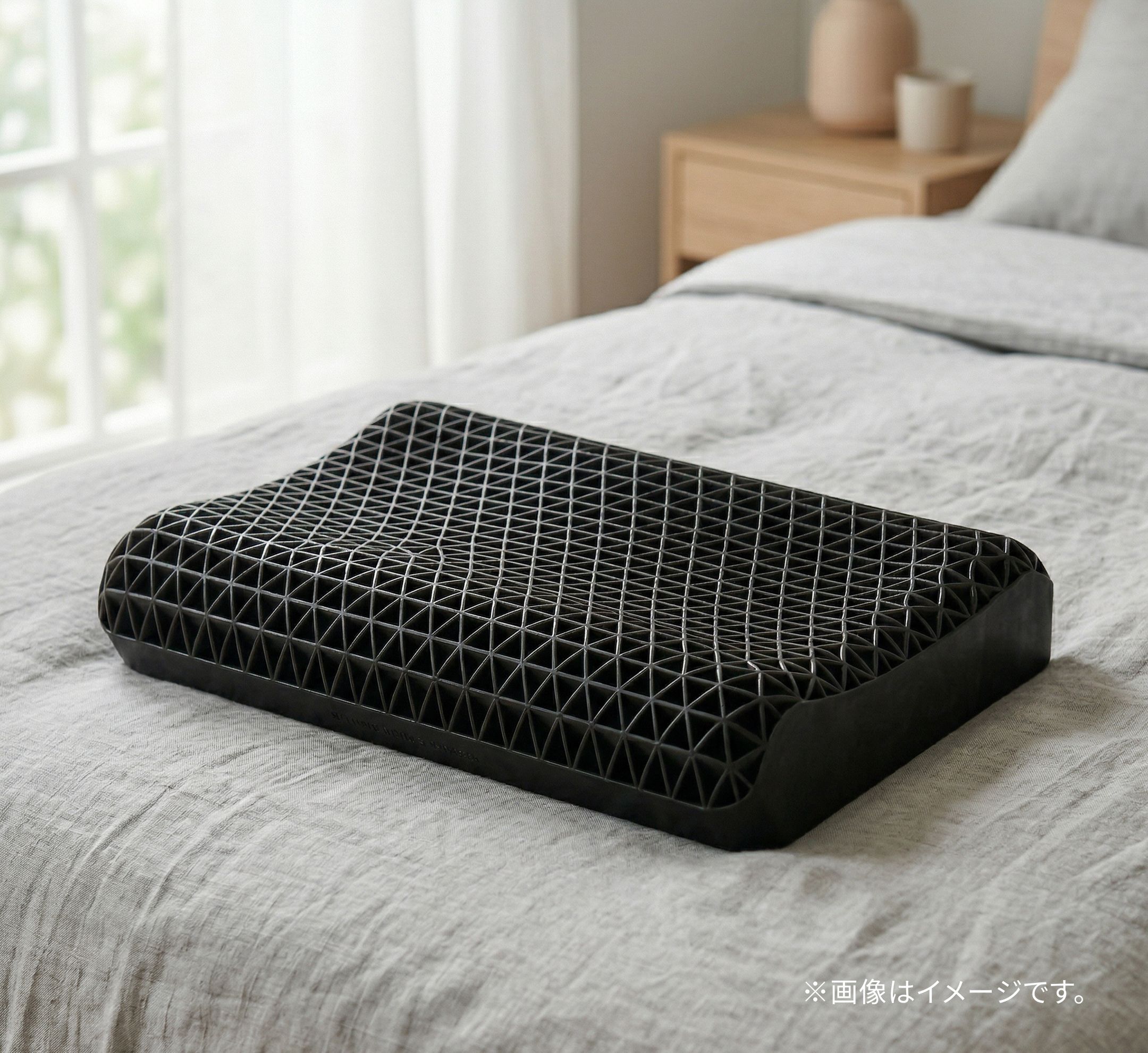 ヒツジのいらない枕 至極 至極（枕＋テンセル枕カバー付）のレンタル