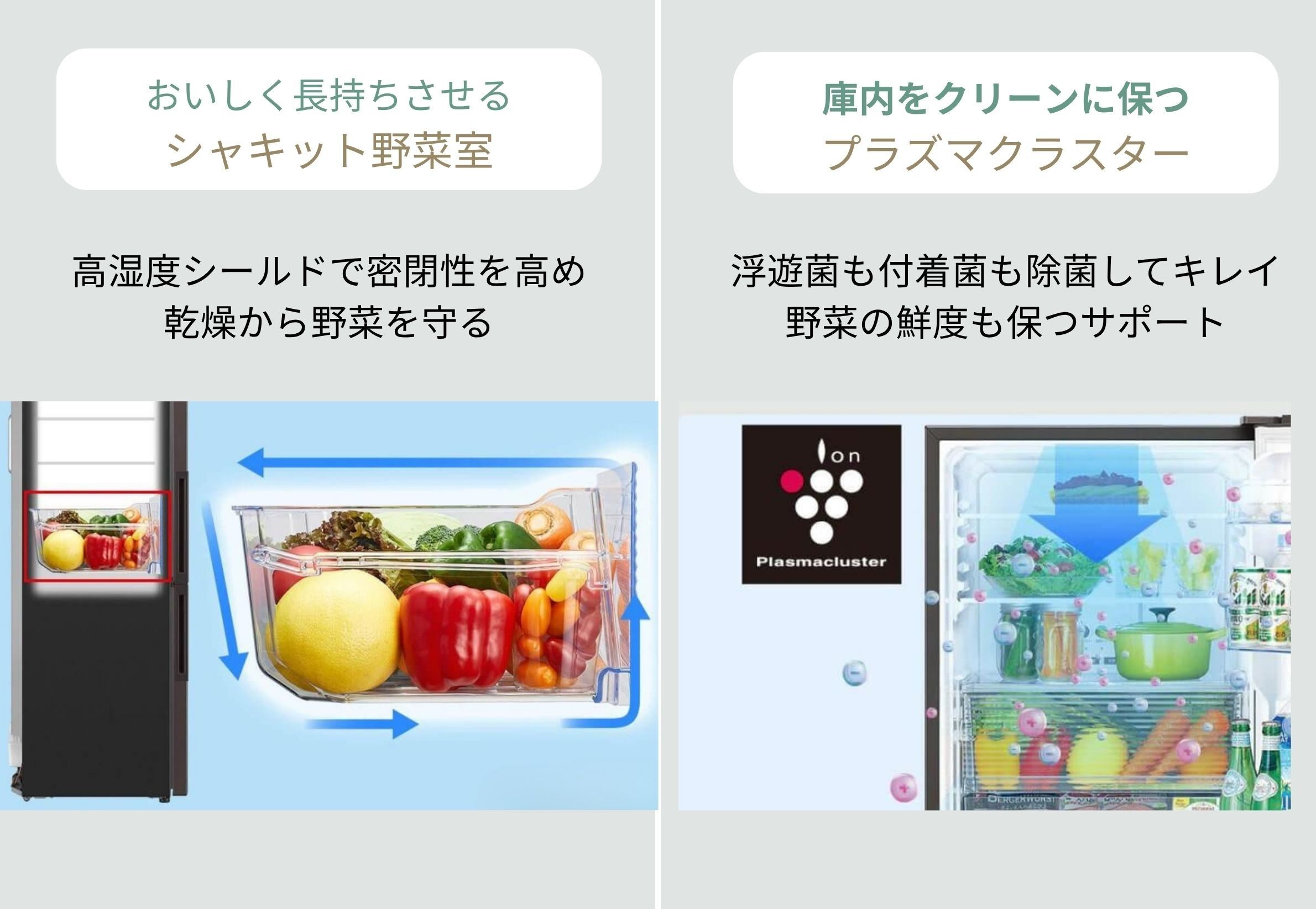 シャープ 冷蔵庫 自炊はの一人暮らし向けシャープ 2ドア冷凍・冷蔵庫 280Lのシャキット野菜室と、プラズマクラスター
