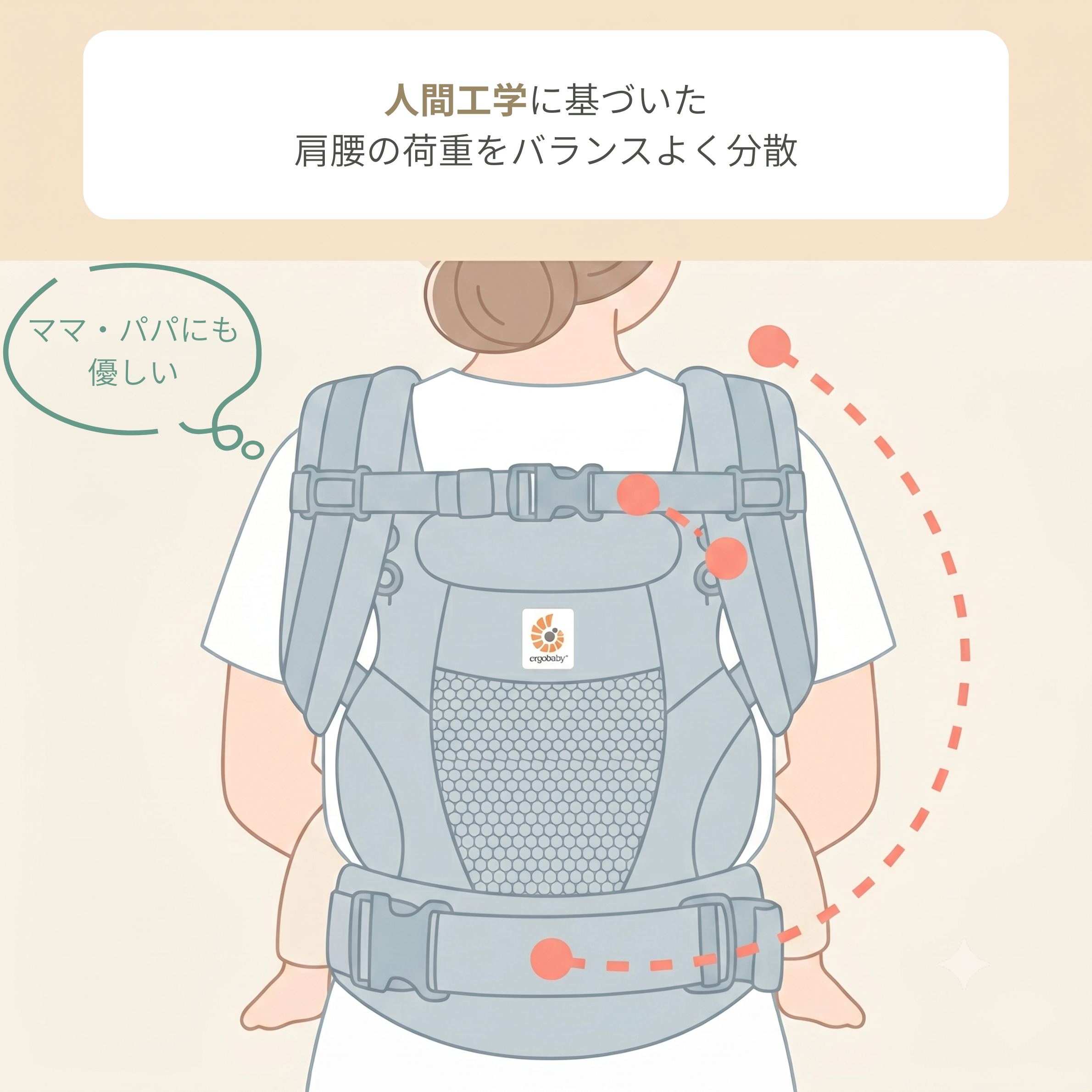 抱っこ紐の荷重を分散する人間工学の図説