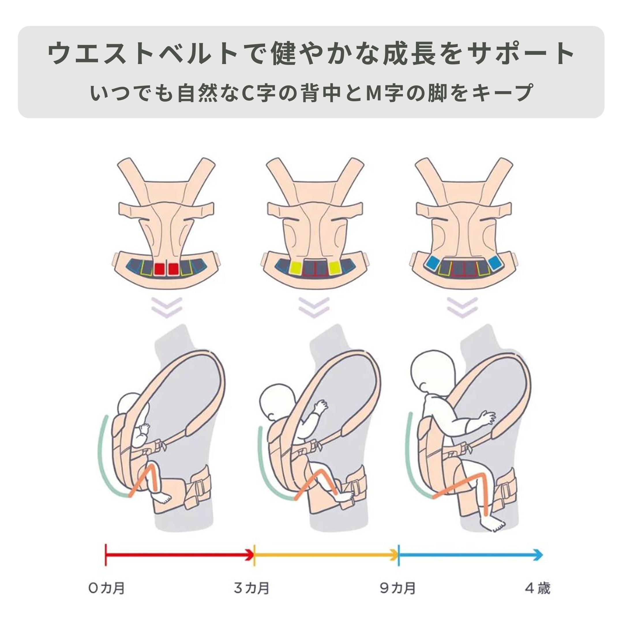 成長に合わせて赤ちゃんの背中のCカーブとM字開脚になる図説