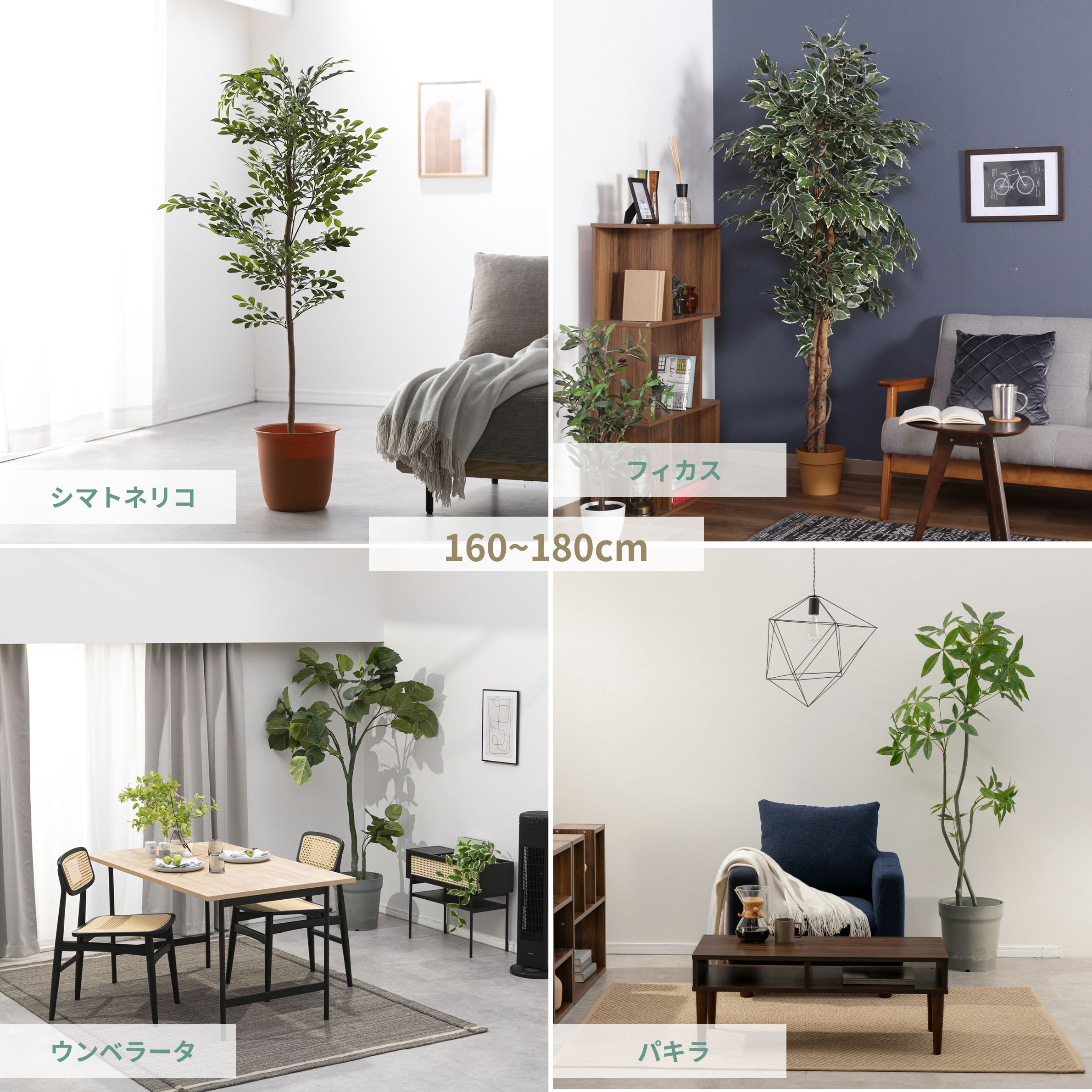 観葉植物 インテリア人気の大型フェイクグリーン トネリコ フィカス ウランベータ パキラ