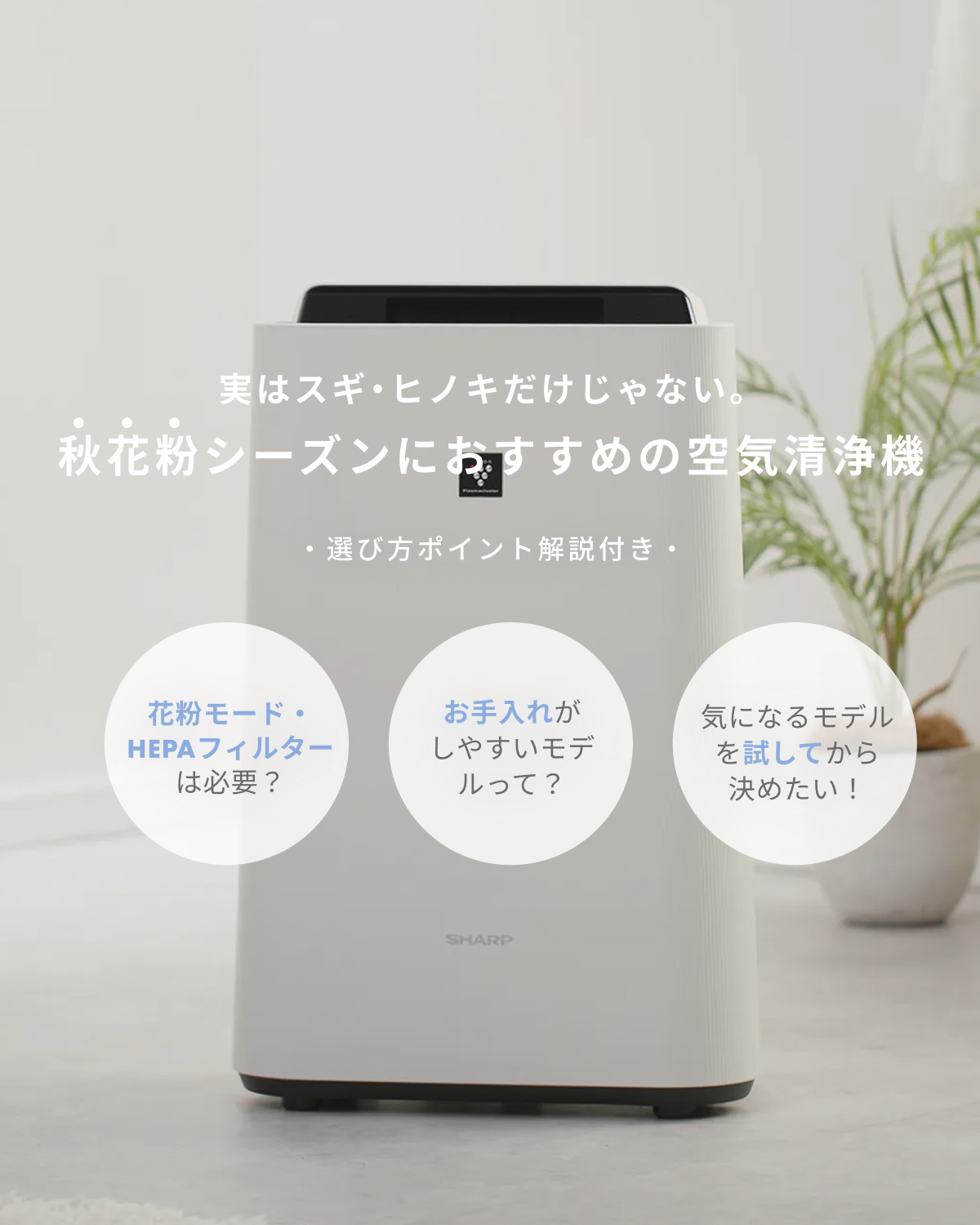実はスギ・ヒノキだけじゃない。秋花粉シーズンにおすすめの空気清浄機・選び方ポイント解説付き
