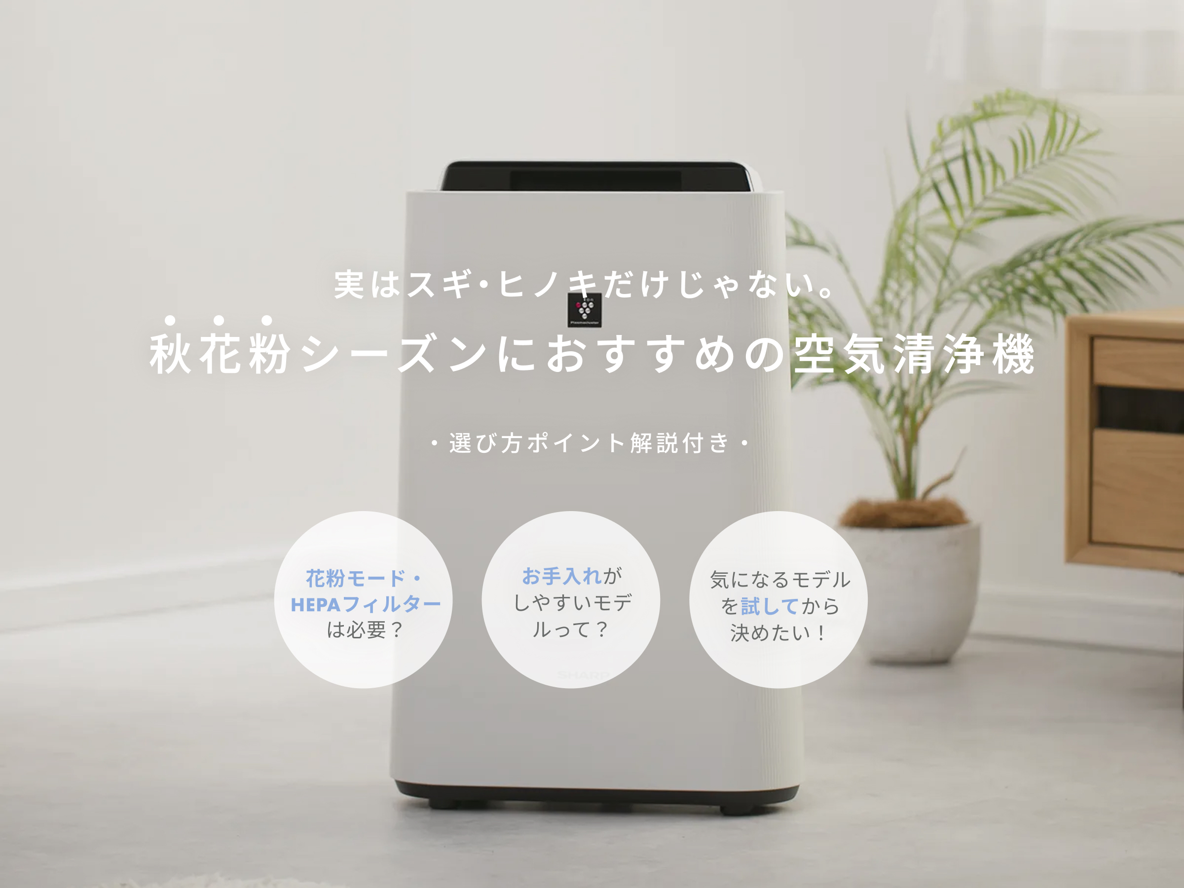 実はスギ・ヒノキだけじゃない。秋花粉シーズンにおすすめの空気清浄機・選び方ポイント解説付き