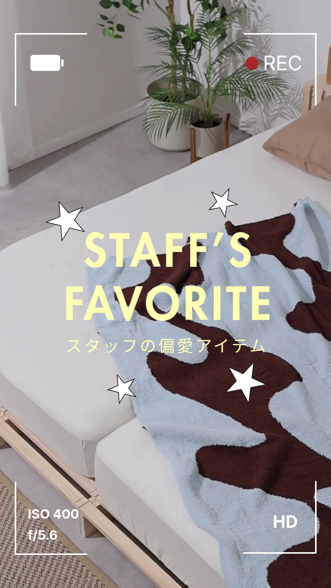 スタッフの偏愛アイテム