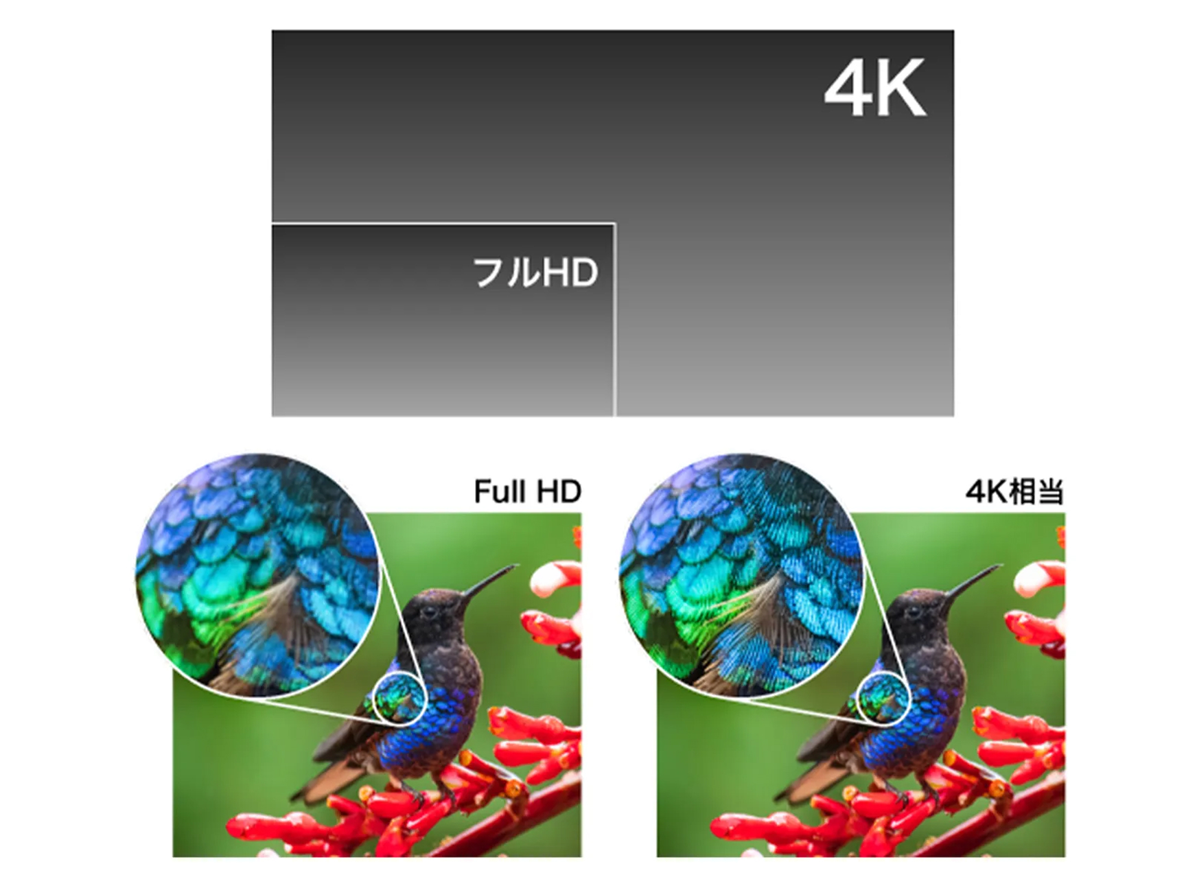 フルHDと4K相当の映像の精細さの違い