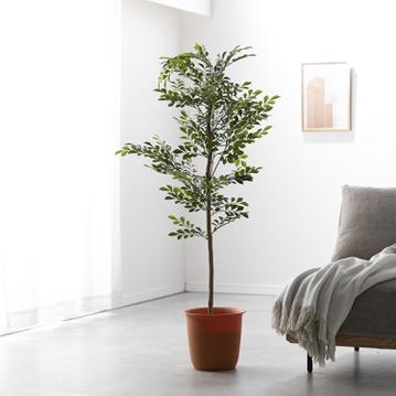 アーティフィシャルグリーン  シマトネリコ