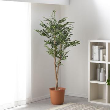 アーティフィシャルグリーン  シマトネリコ