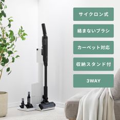 Electrolux (エレクトロラックス) Well Q6 スティッククリーナー WQ61