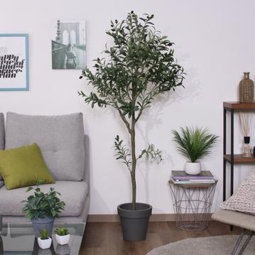 フェイクグリーン オリーブ