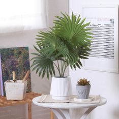 ウンベラータ スパイラル150cm(フェイクグリーン) W60×H150xφ20cm