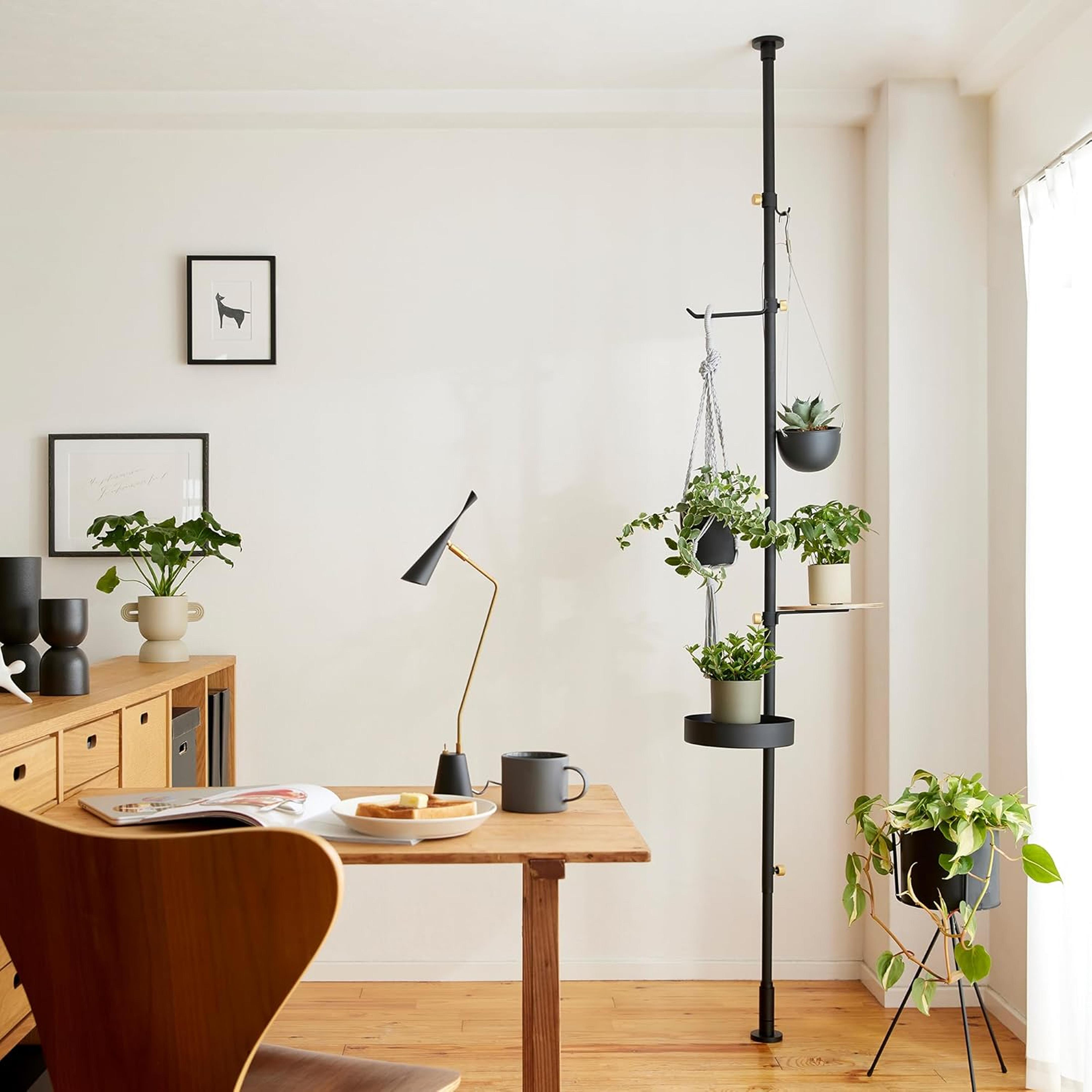 DRAW A LINE Moving Planter Rack Set ホワイト DRAW A LINE Planter Rack Set モリモリツリーセットのレンタル