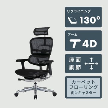 Ergohuman Pro2 high