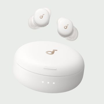 Anker (アンカー) Soundcore Liberty サウンドコア リバティ Sleep A30 イヤホン