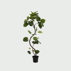 ウンベラータ スパイラル150cm(フェイクグリーン) W60×H150xφ20cm