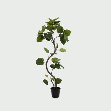 ウンベラータ スパイラル150cm(フェイクグリーン)
