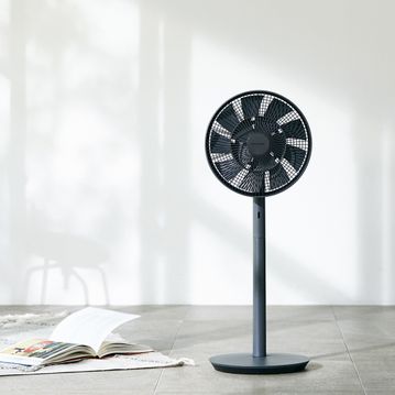 BALMUDA (バルミューダ)  The GreenFan