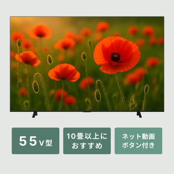 REGZA（レグザ）4K液晶 エントリーモデル