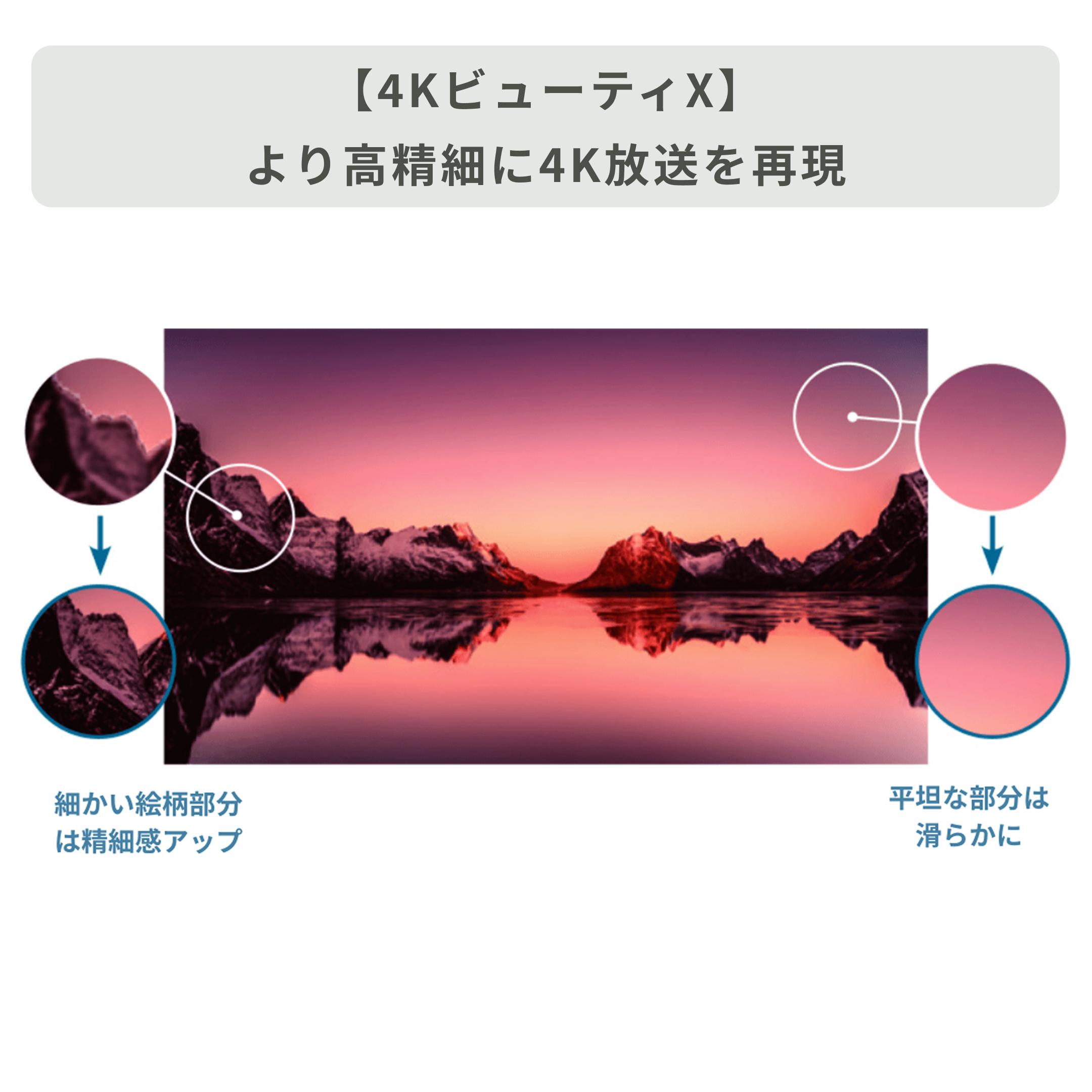 うい 専有　【今だけ特価】REGZA 50V型 4K/HDR スマートTV うい 専有 【今だけ特価】REGZA 50V型 4K/HDR スマートTV テレビ