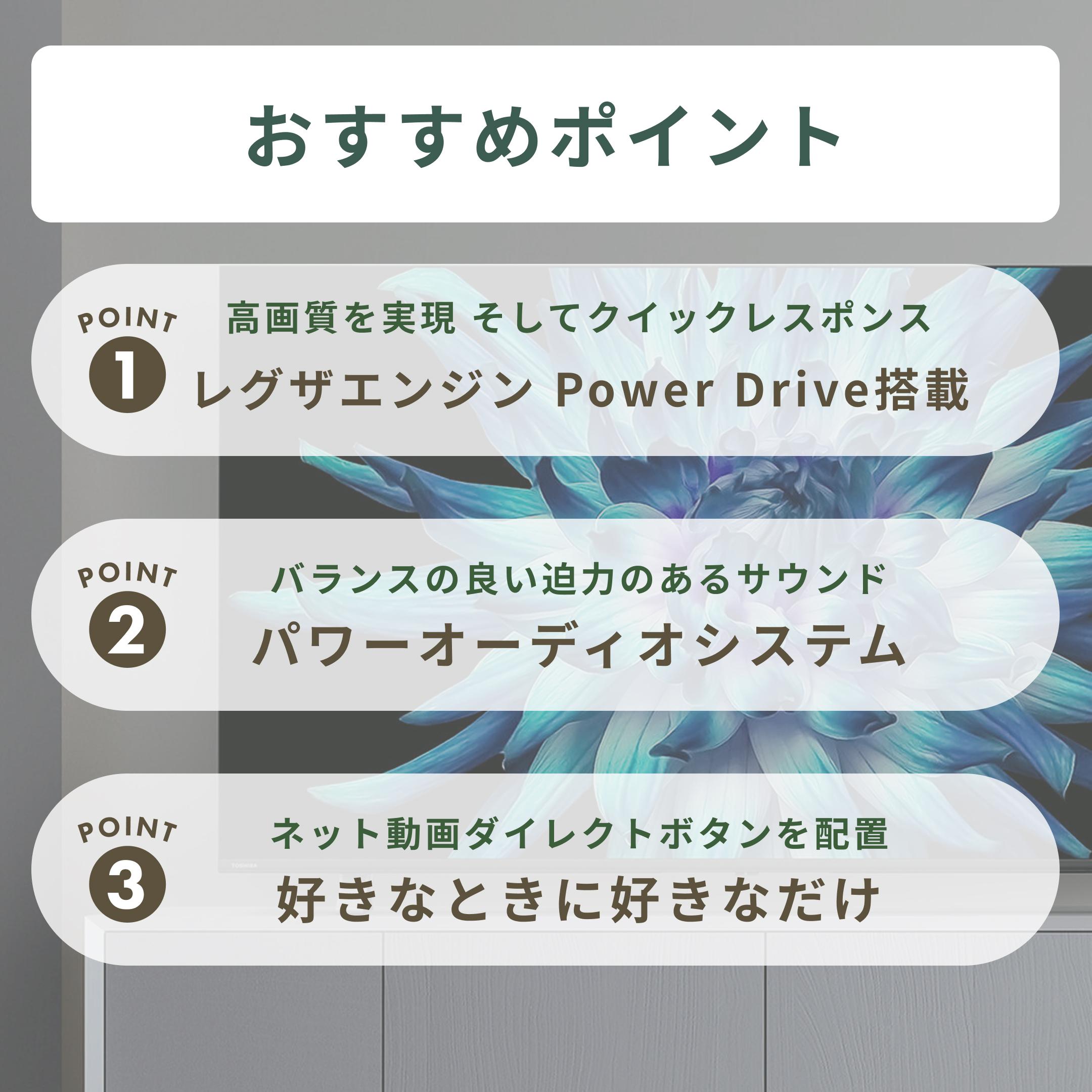 REGZA 4K内蔵LED液晶テレビ 55V型 REGZA / レグザのレンタル・サブスク