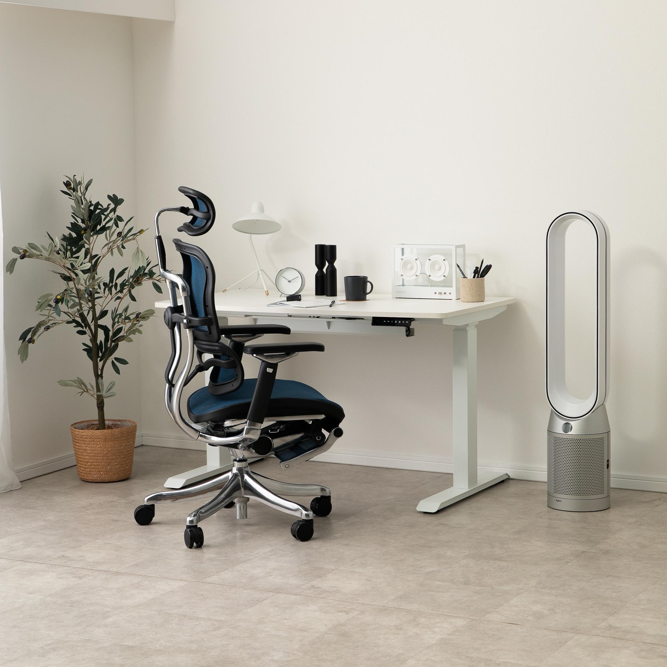 Ergohuman PRO オットマン内蔵 ワークチェア エラストメリックメッシュ