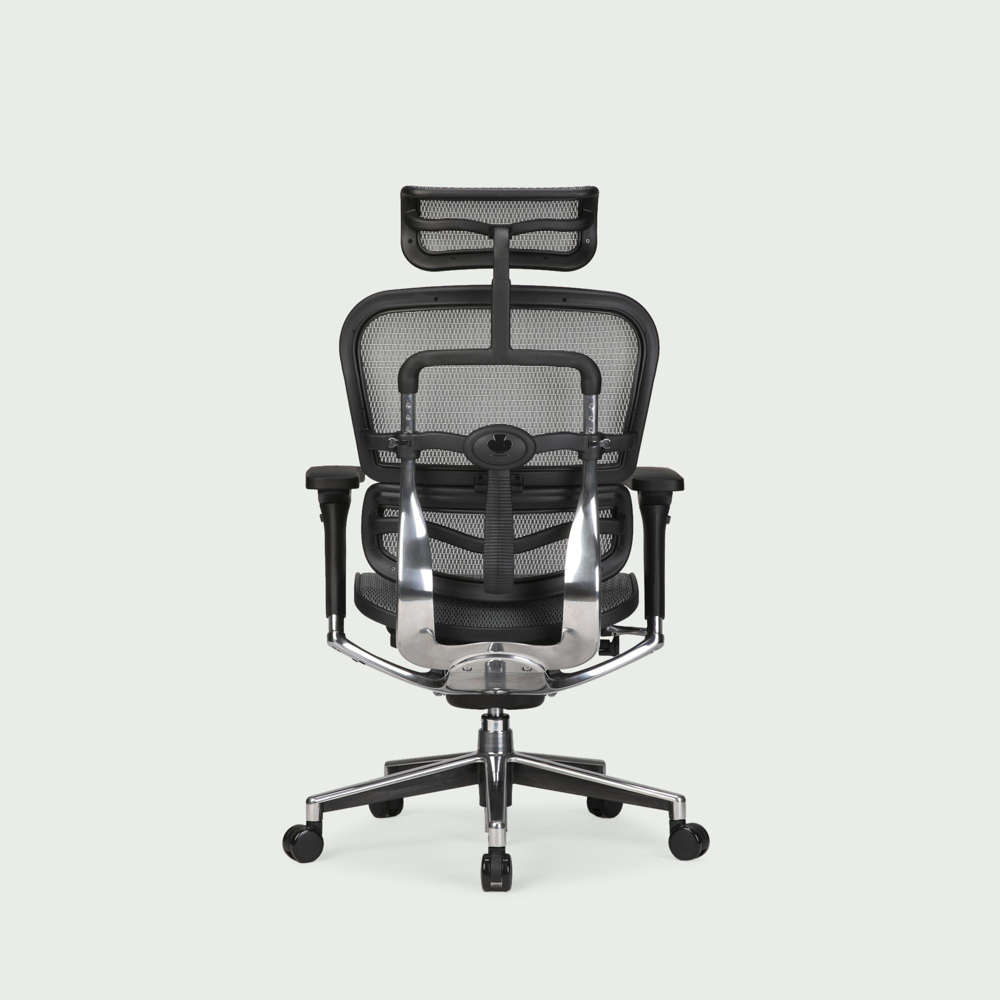 エルゴヒューマン Basic louis 000000000060-01-l.jpg?t=