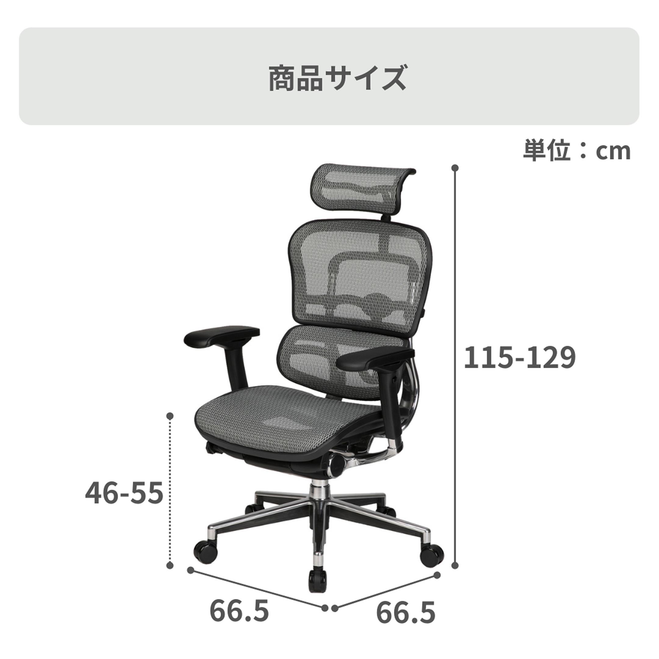 Ergohuman BASIC チェア 1脚 Ergohuman / エルゴヒューマンの