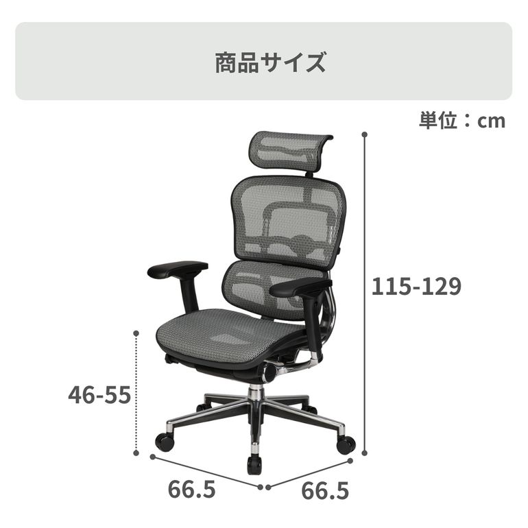 Ergohuman BASIC チェア 1脚 ergohuman｜【公式】CLAS（クラス）家具
