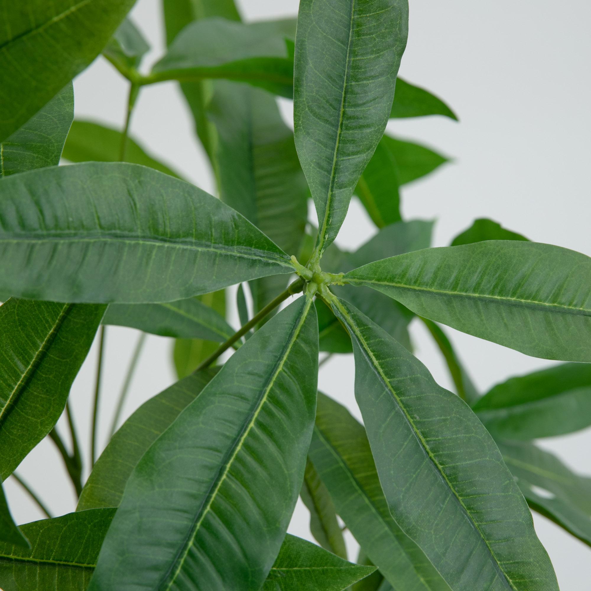 パキラ180cm(フェイクグリーン) W90×H180xφ23cm Tokyodo / 東京堂の