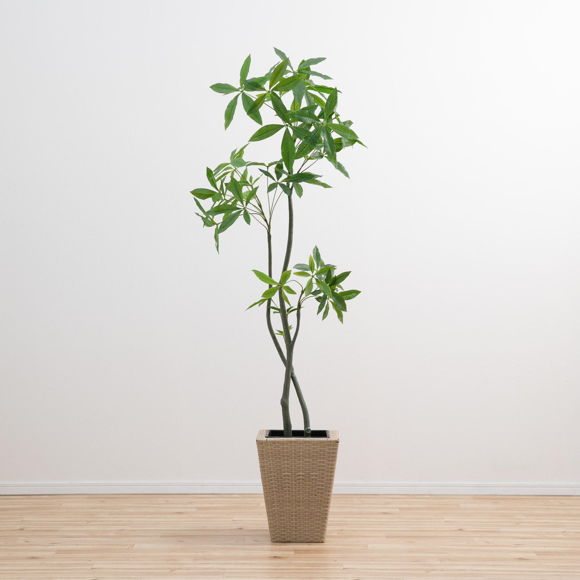約180cm!!フェイク観葉植物（パキラ）  　 パキラ 180cm - フェイクグリーン専用通販サイト – フェイクグリーン