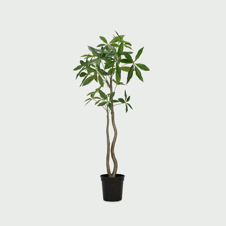 パキラ120cm(フェイクグリーン) W60×H120xφ20cm Tokyodo / 東京堂