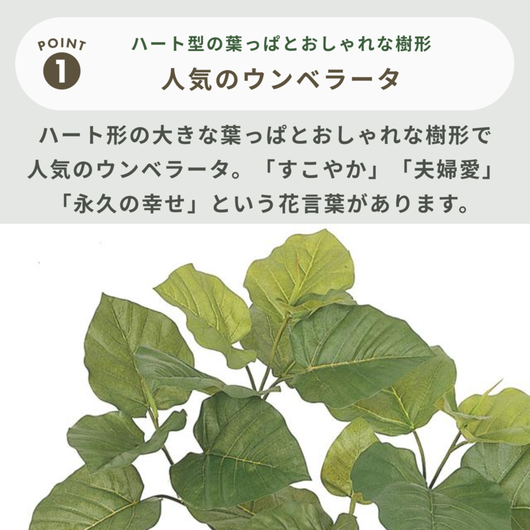 ウンベラータ・１２０センチ フェイクグリーン(ウンベラータ 120cm) | ニトリネット【公式】 家具